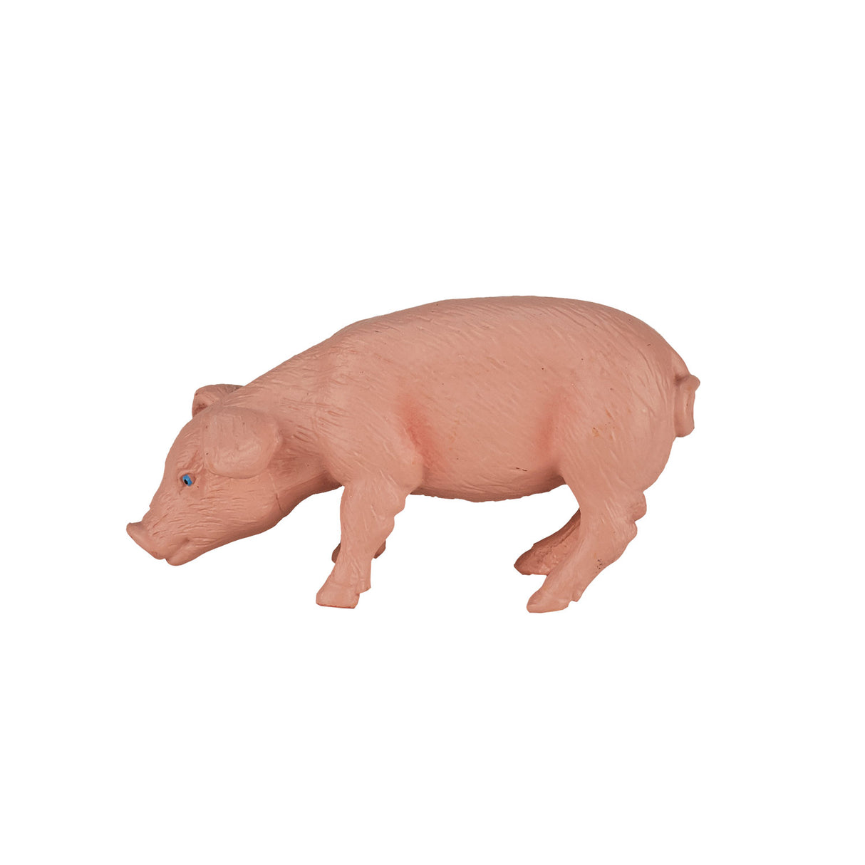 Terres agricoles Mojo mangeant un porcelet - 387056