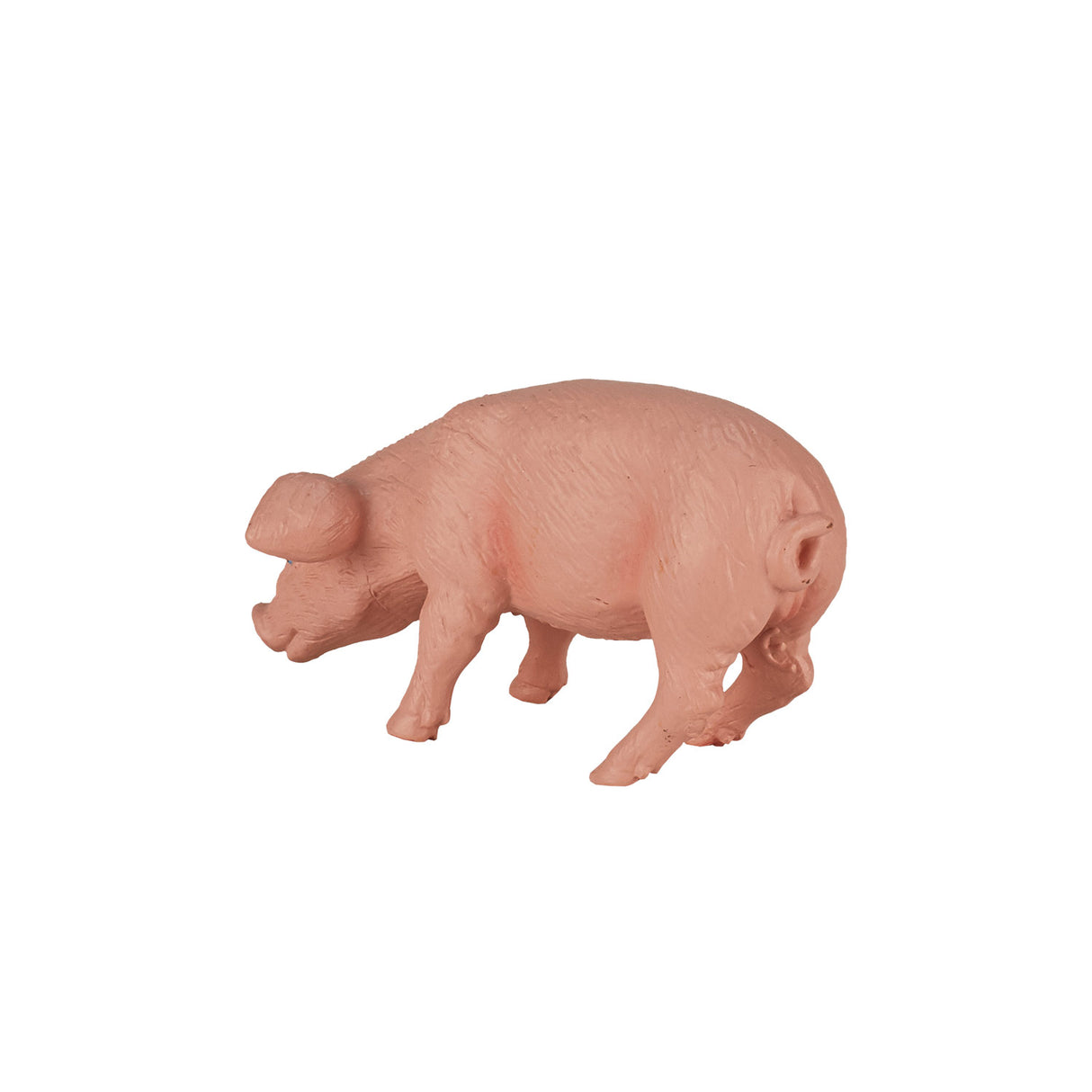 Terres agricoles Mojo mangeant un porcelet - 387056