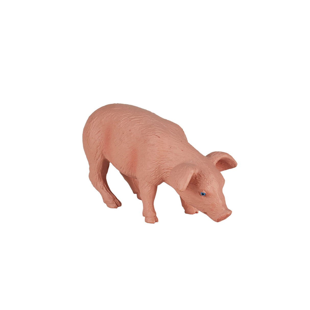Terres agricoles Mojo mangeant un porcelet - 387056