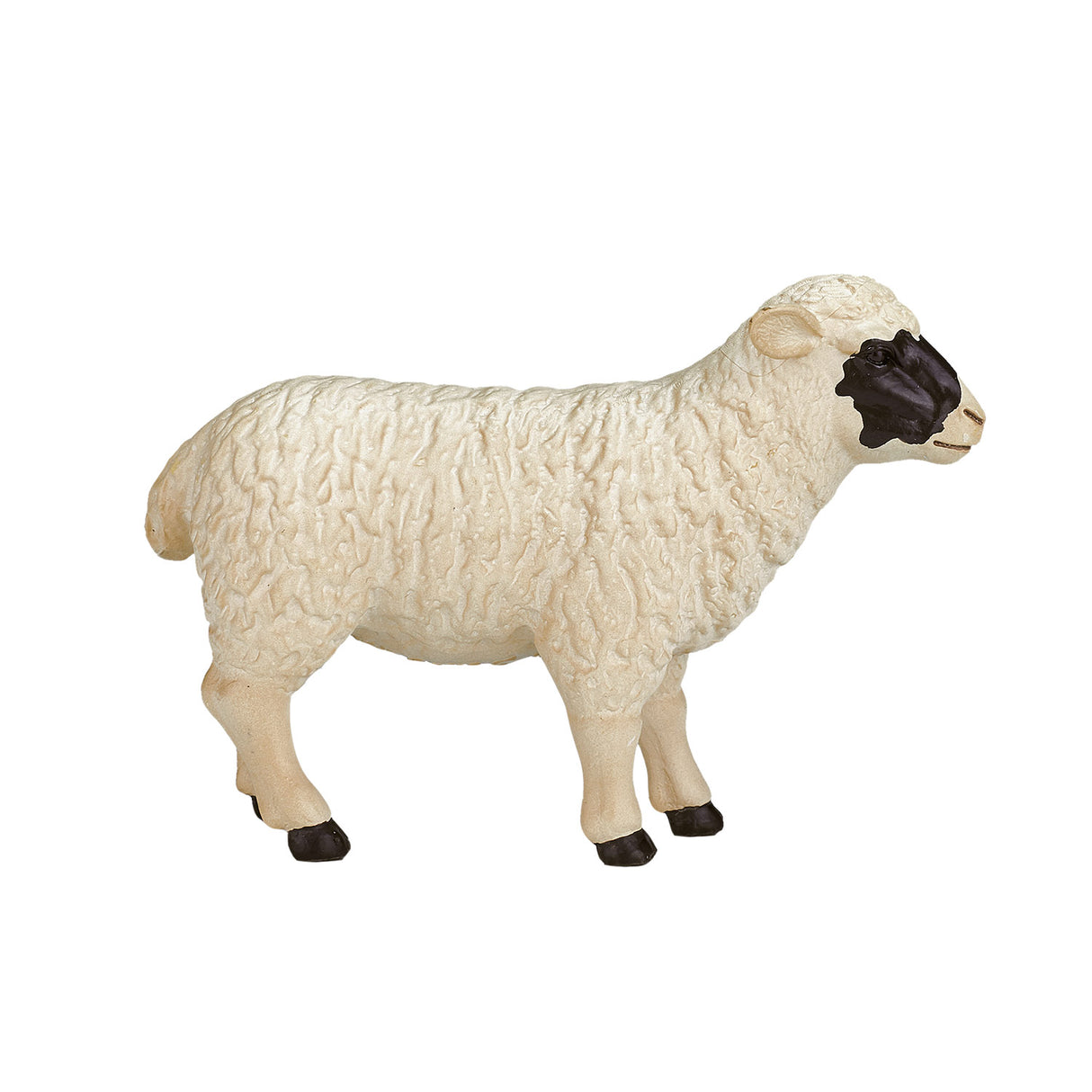 Mojo terres agricoles mouton à tête noire brebis - 387058