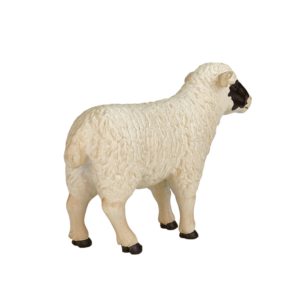 Mojo terres agricoles mouton à tête noire brebis - 387058