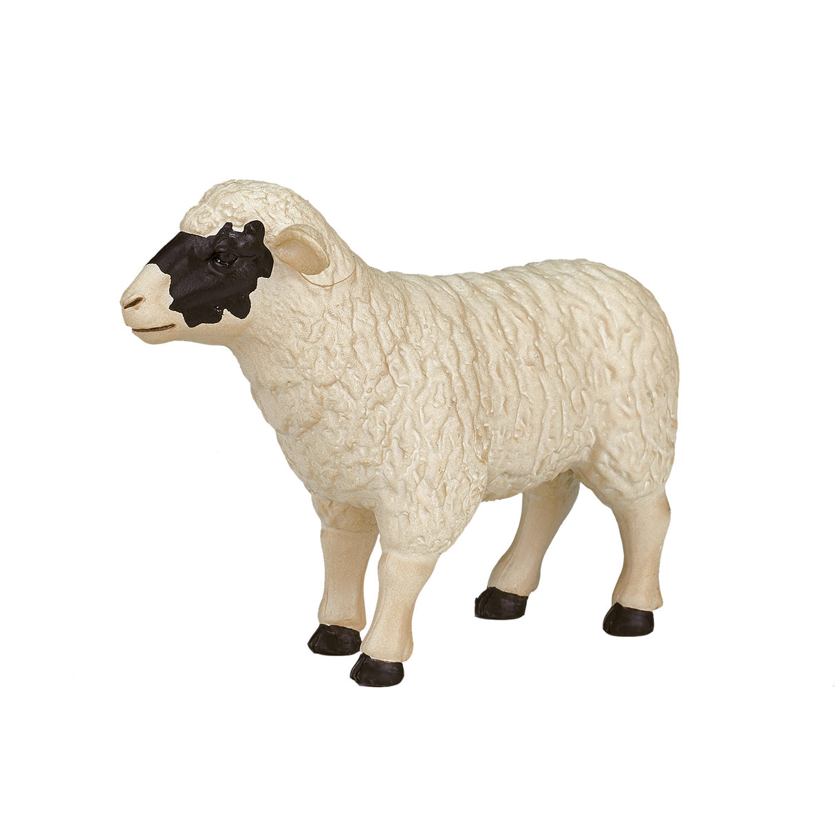 Mojo terres agricoles mouton à tête noire brebis - 387058