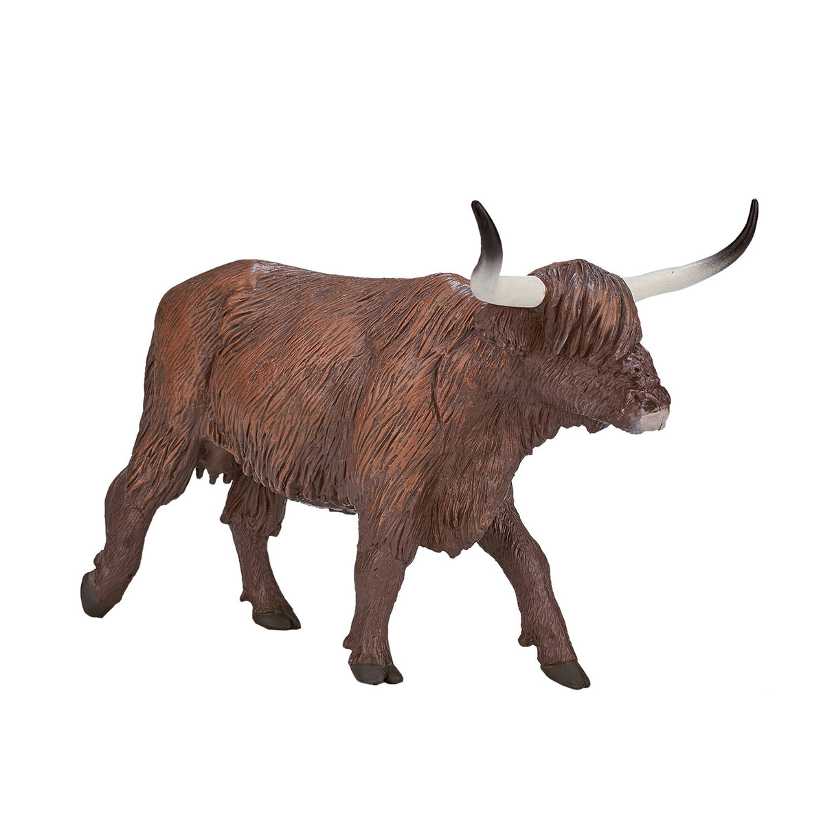 Vache des Highlands des terres agricoles Mojo - 387199