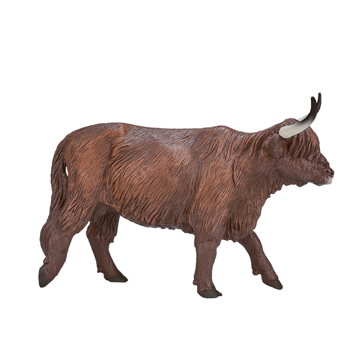 Vache des Highlands des terres agricoles Mojo - 387199