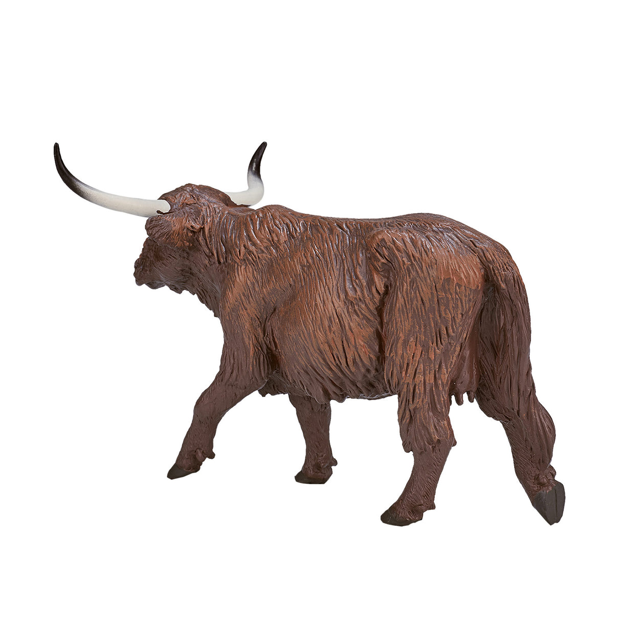 Vache des Highlands des terres agricoles Mojo - 387199