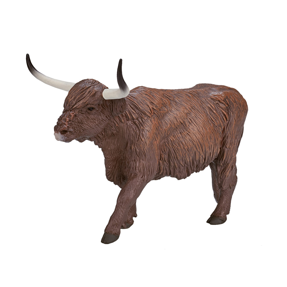 Vache des Highlands des terres agricoles Mojo - 387199