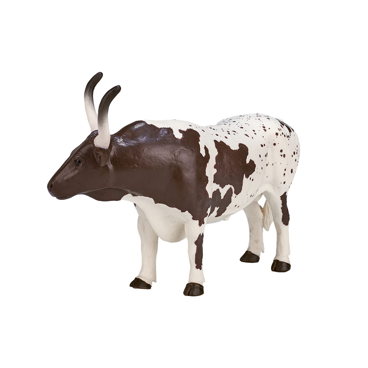 Mojo terres agricoles Texas Longhorn Bull - 387222