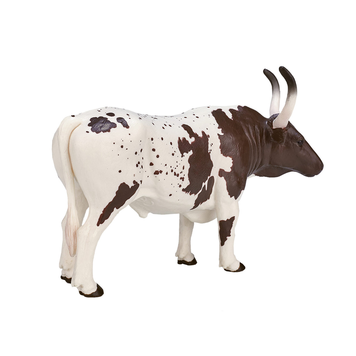Mojo terres agricoles Texas Longhorn Bull - 387222
