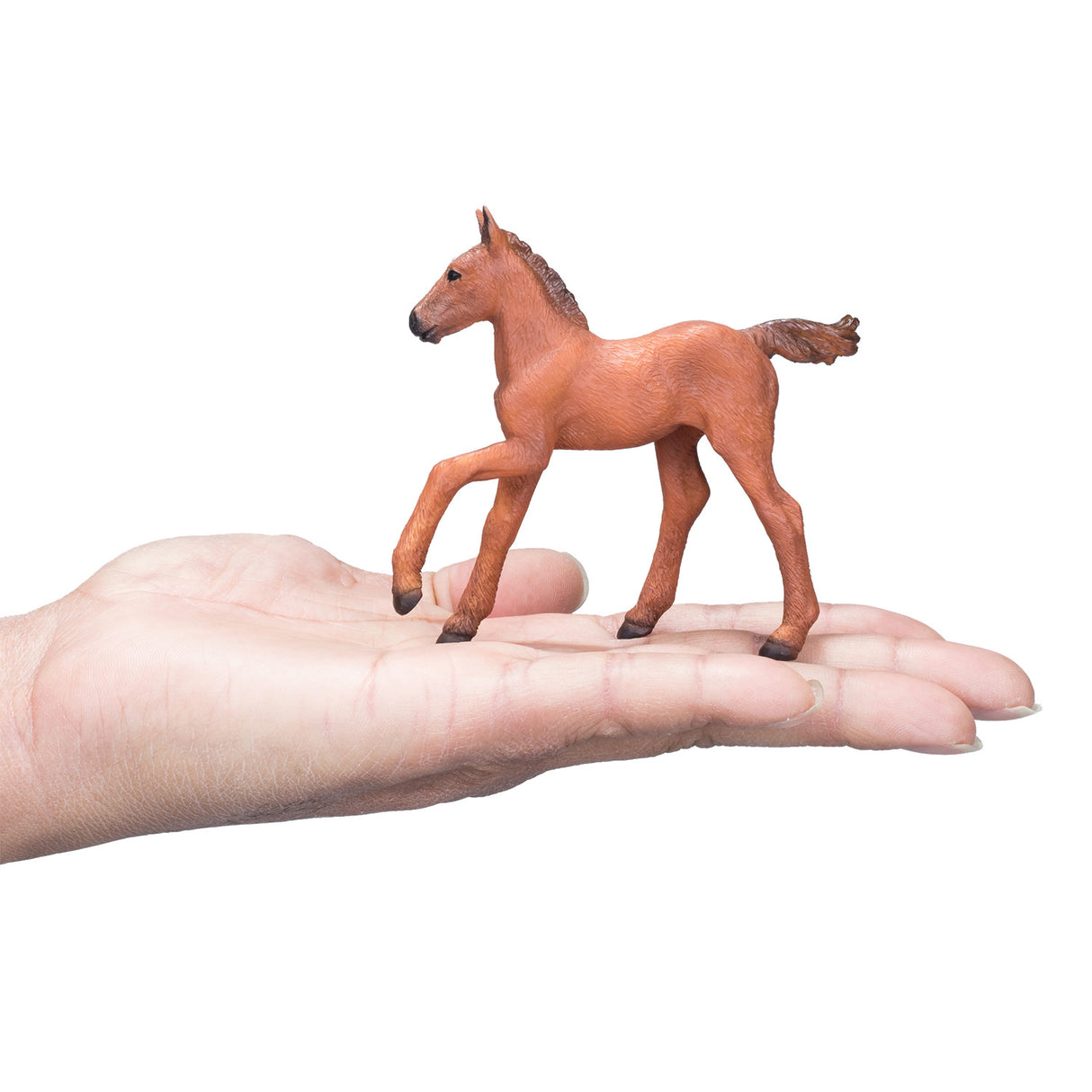 Mojo horse world poulain arabe marron - 381019