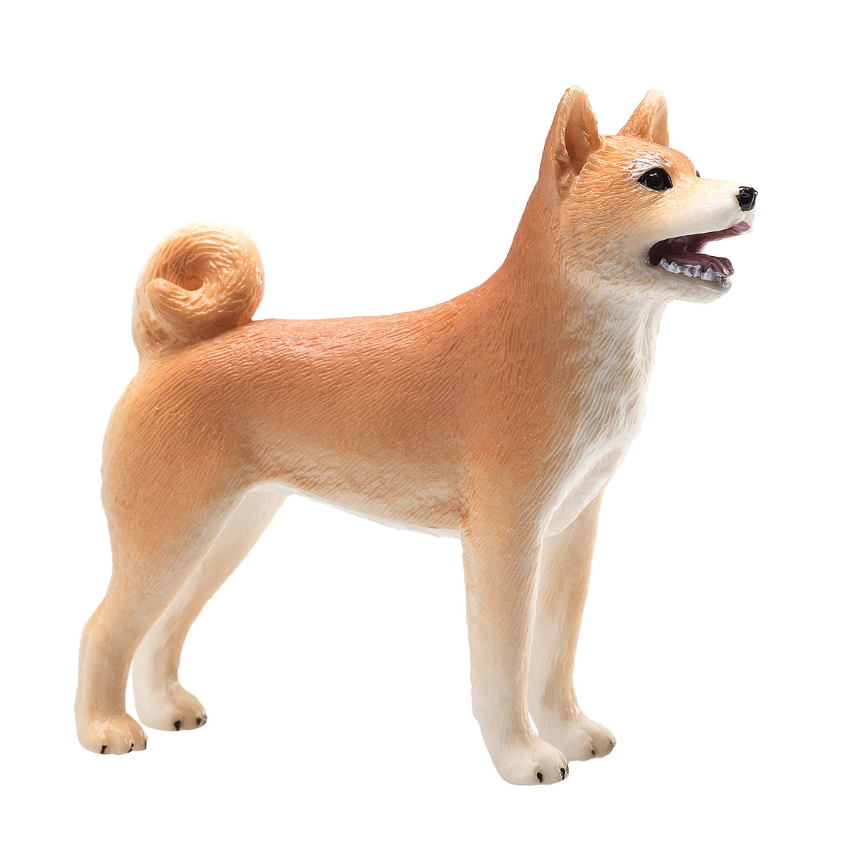 Shiba Inu des terres agricoles Mojo - 387140