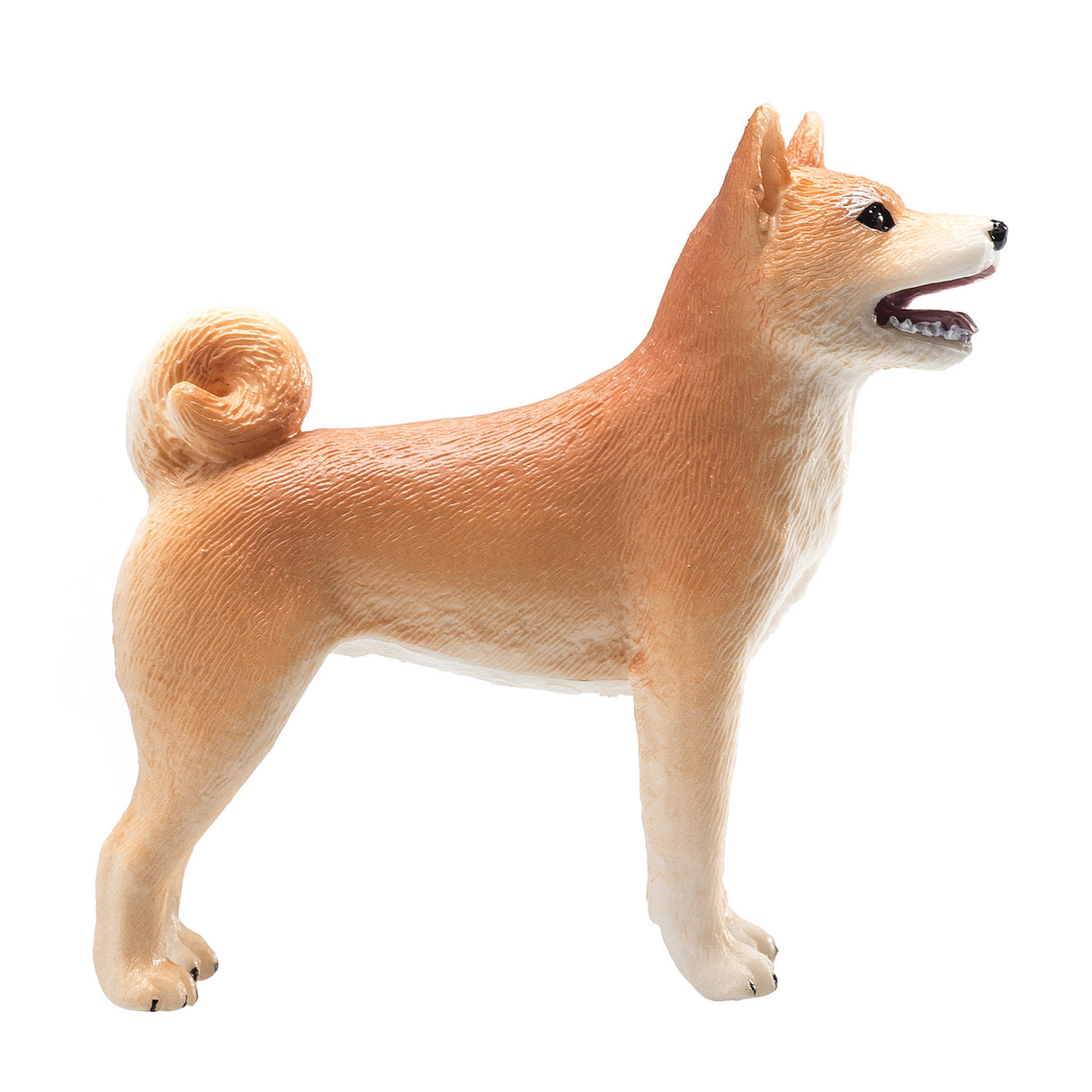 Shiba Inu des terres agricoles Mojo - 387140