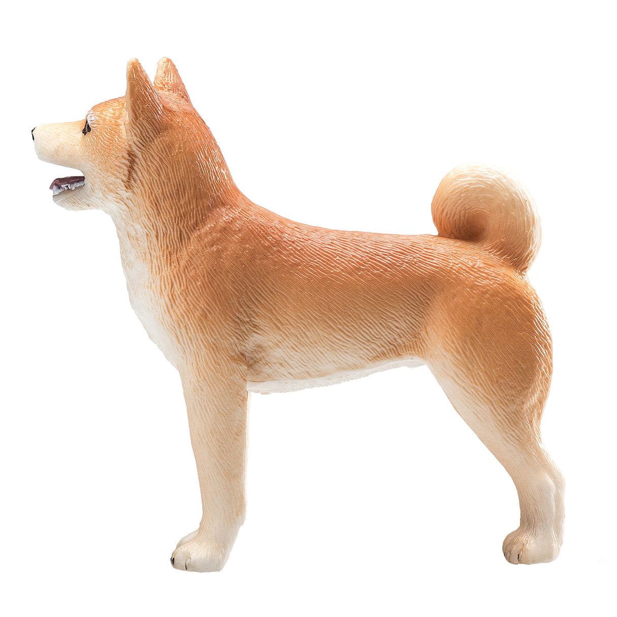 Shiba Inu des terres agricoles Mojo - 387140