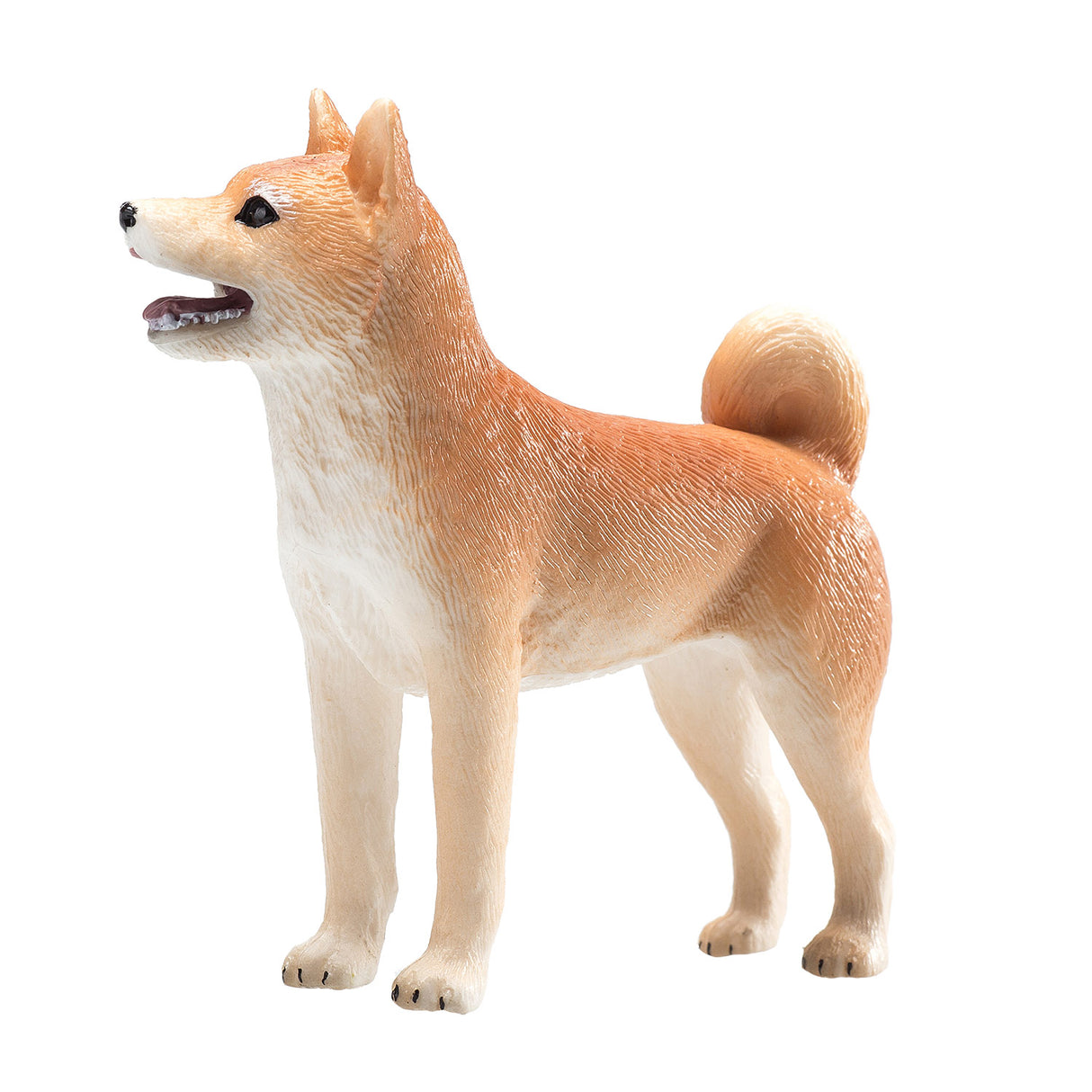 Shiba Inu des terres agricoles Mojo - 387140