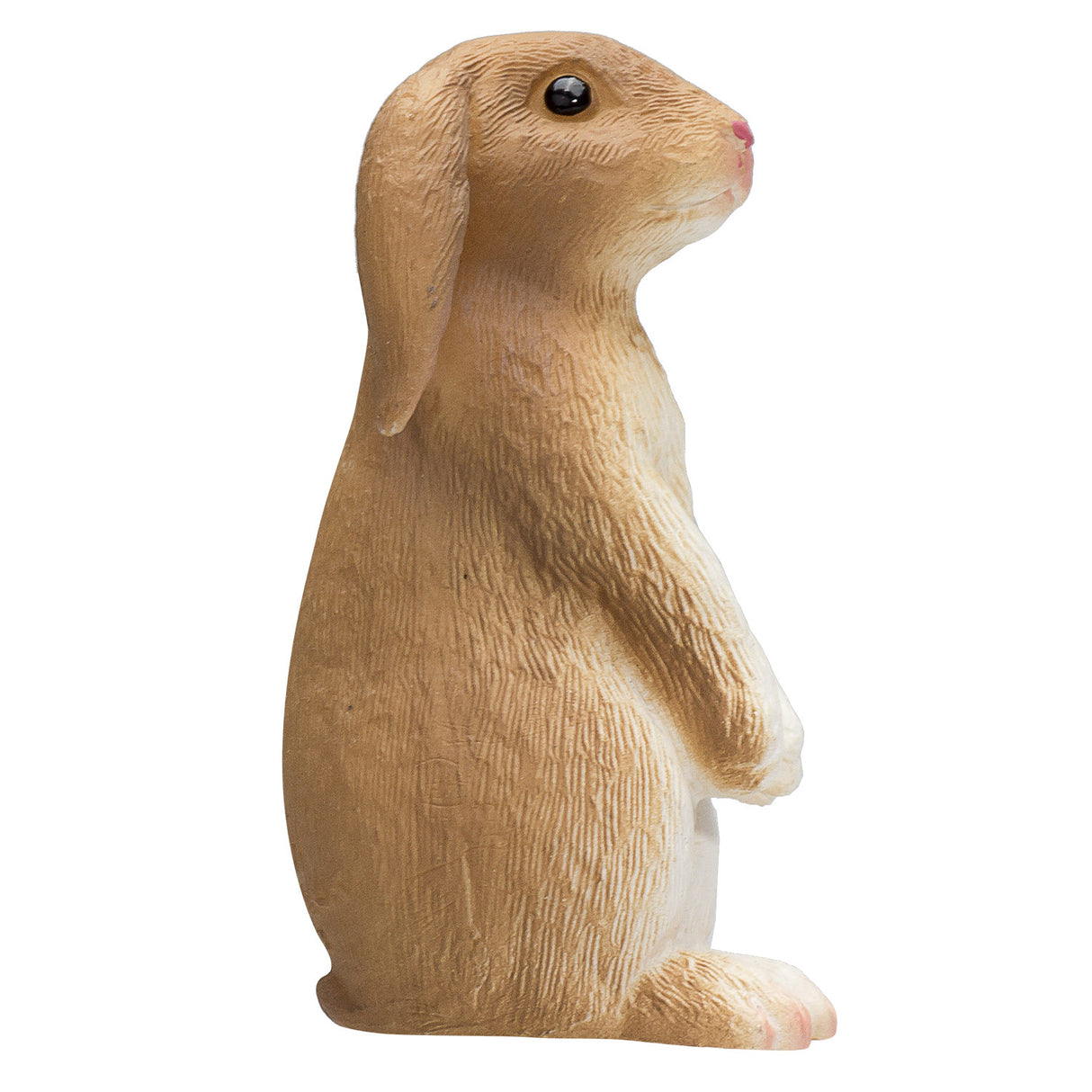 Lapin des terres agricoles Mojo - 387141