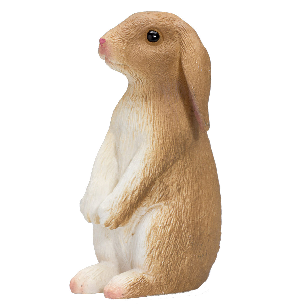 Lapin des terres agricoles Mojo - 387141