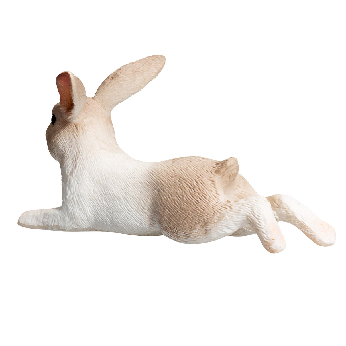 Lapin des terres agricoles Mojo couché - 387142