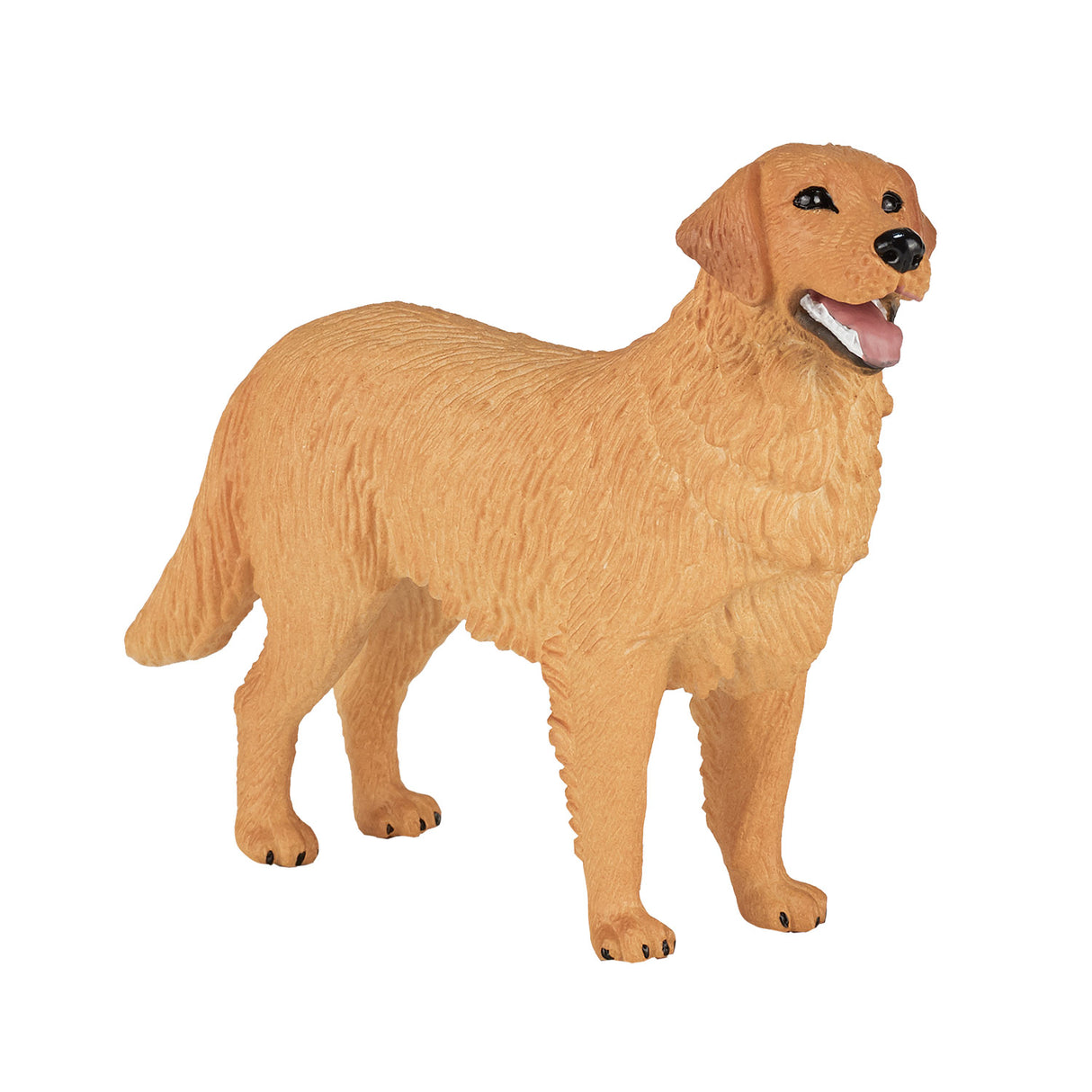Golden retriever des terres agricoles Mojo - 387198