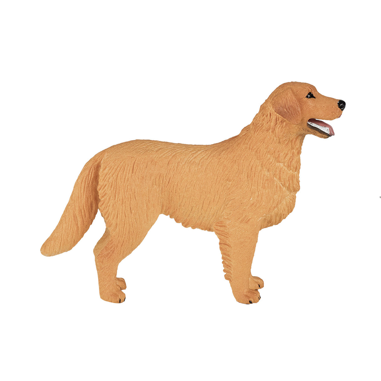 Golden retriever des terres agricoles Mojo - 387198