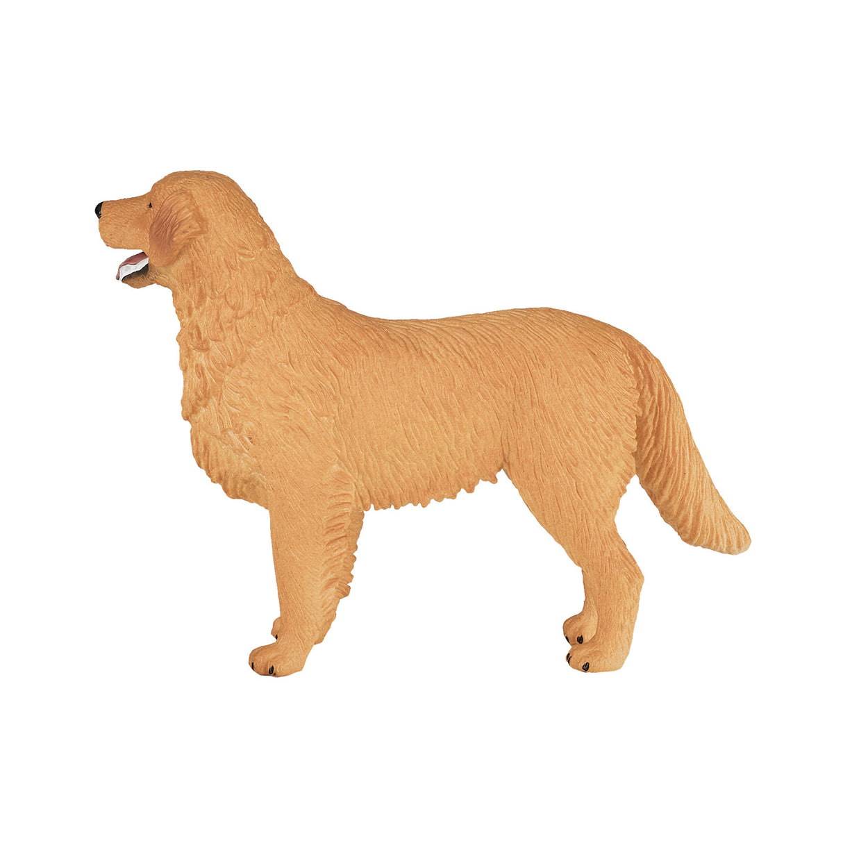 Golden retriever des terres agricoles Mojo - 387198