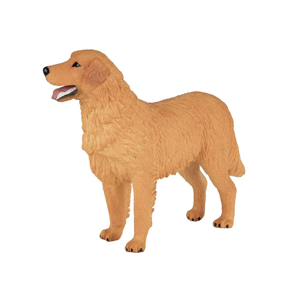 Golden retriever des terres agricoles Mojo - 387198