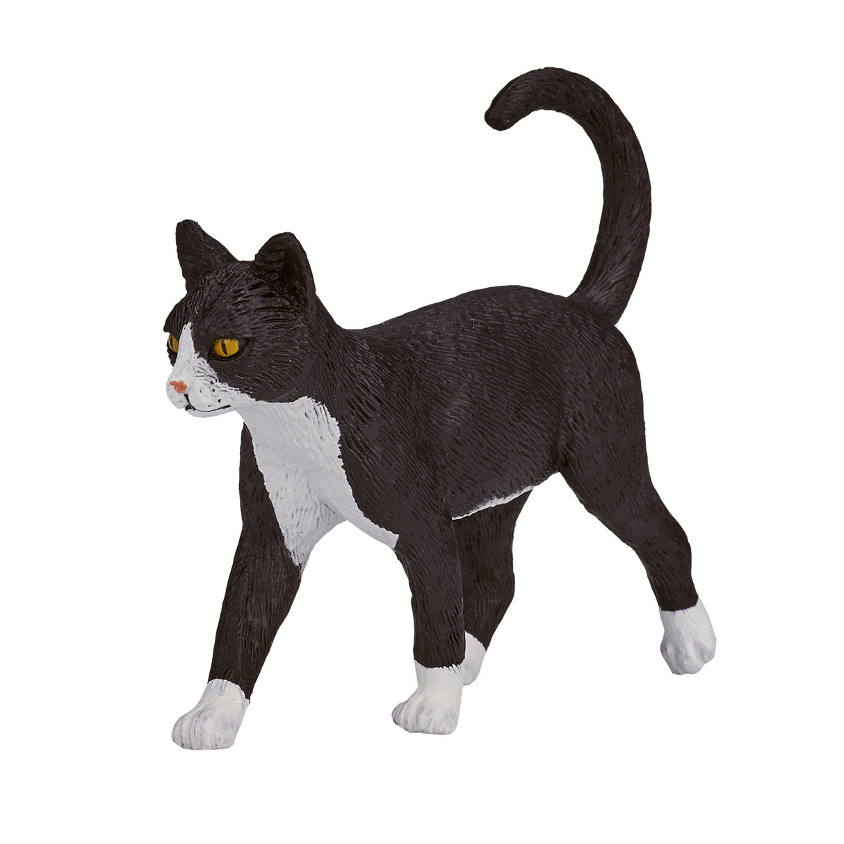 Chat des terres agricoles Mojo - 387200