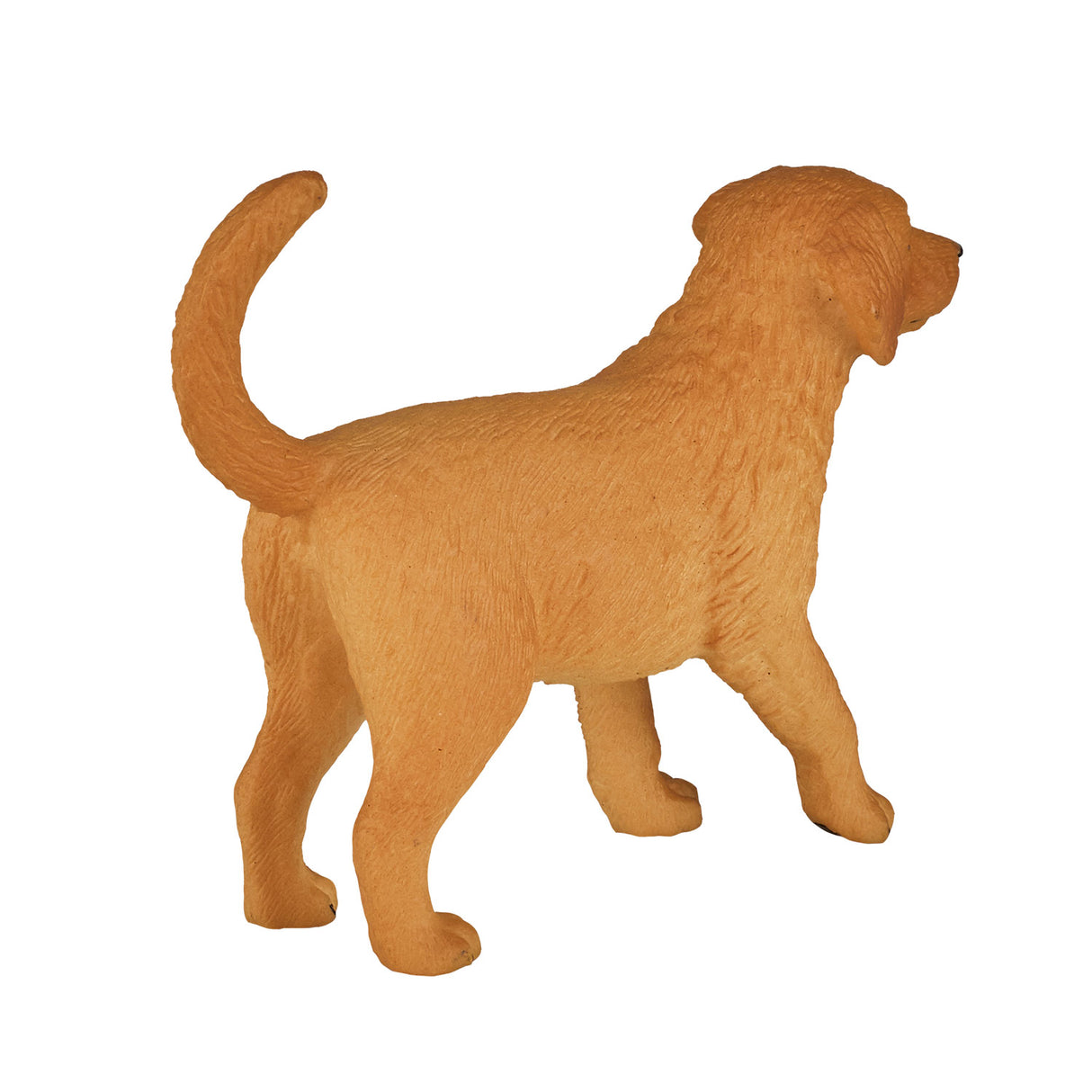 Chiot golden retriever des terres agricoles Mojo - 387205