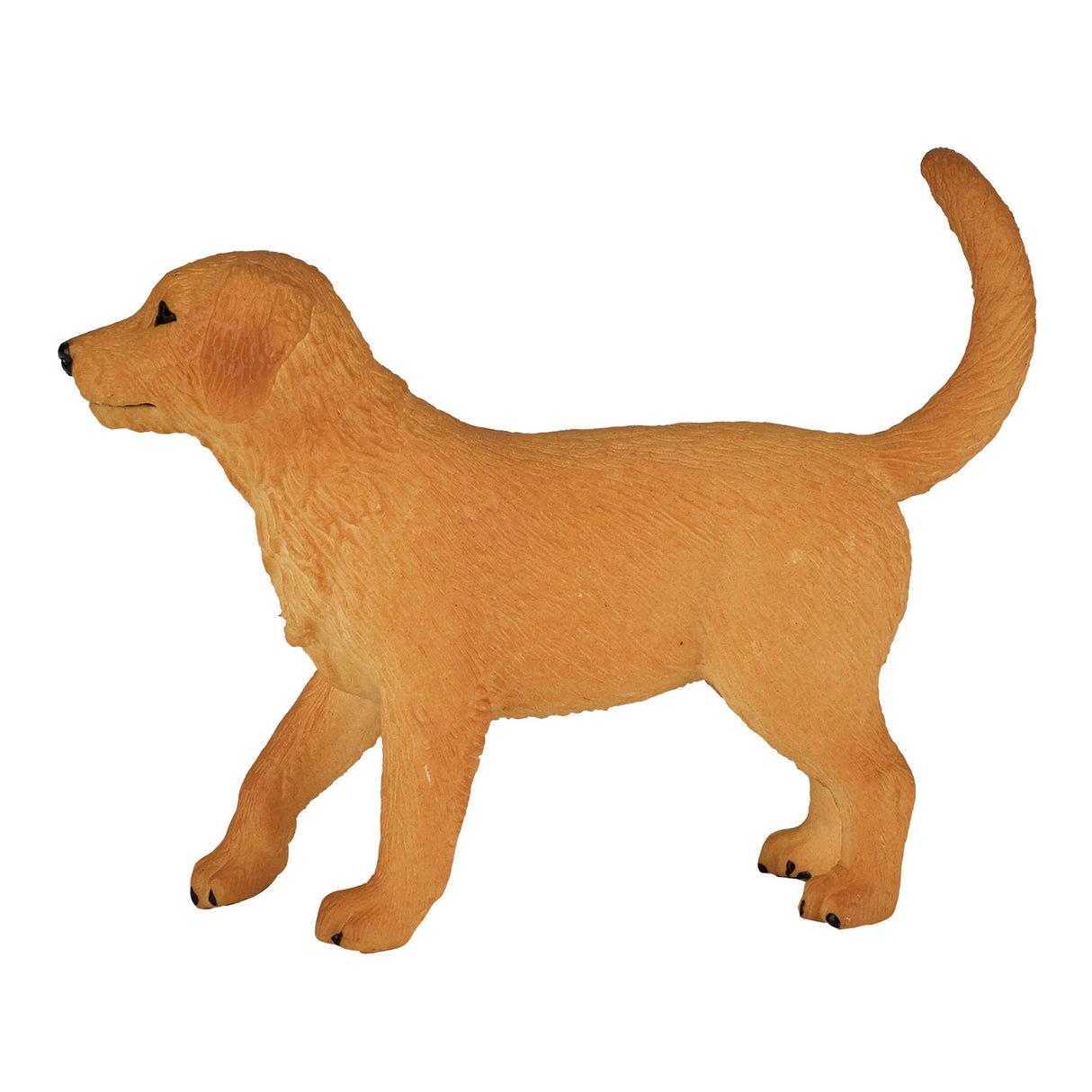 Chiot golden retriever des terres agricoles Mojo - 387205
