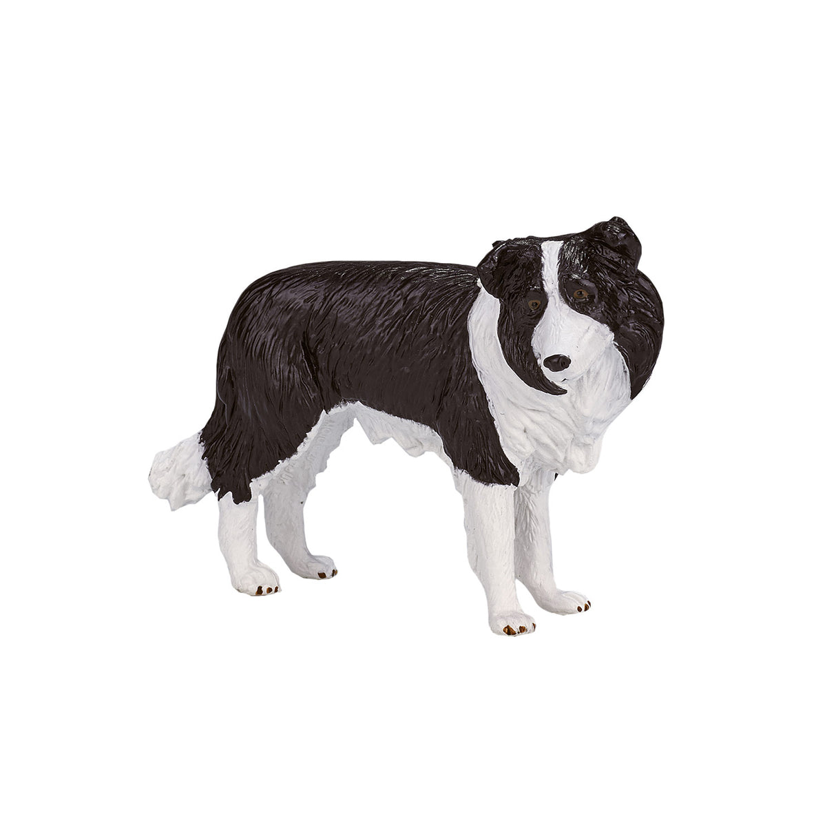Border Collie des terres agricoles Mojo - 387203