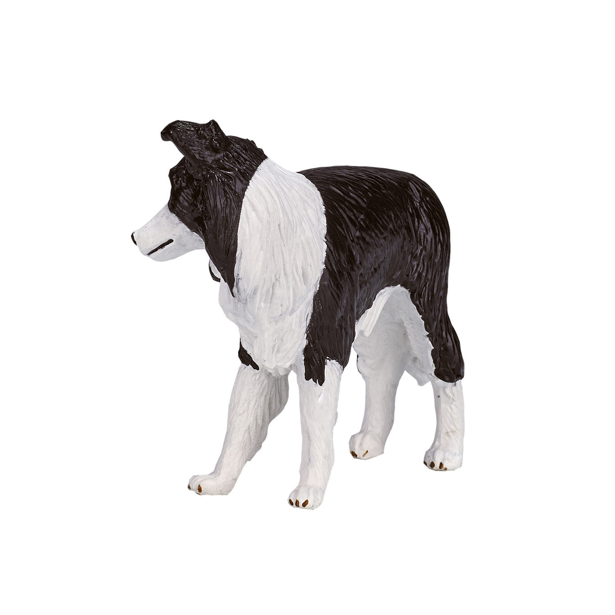 Border Collie des terres agricoles Mojo - 387203