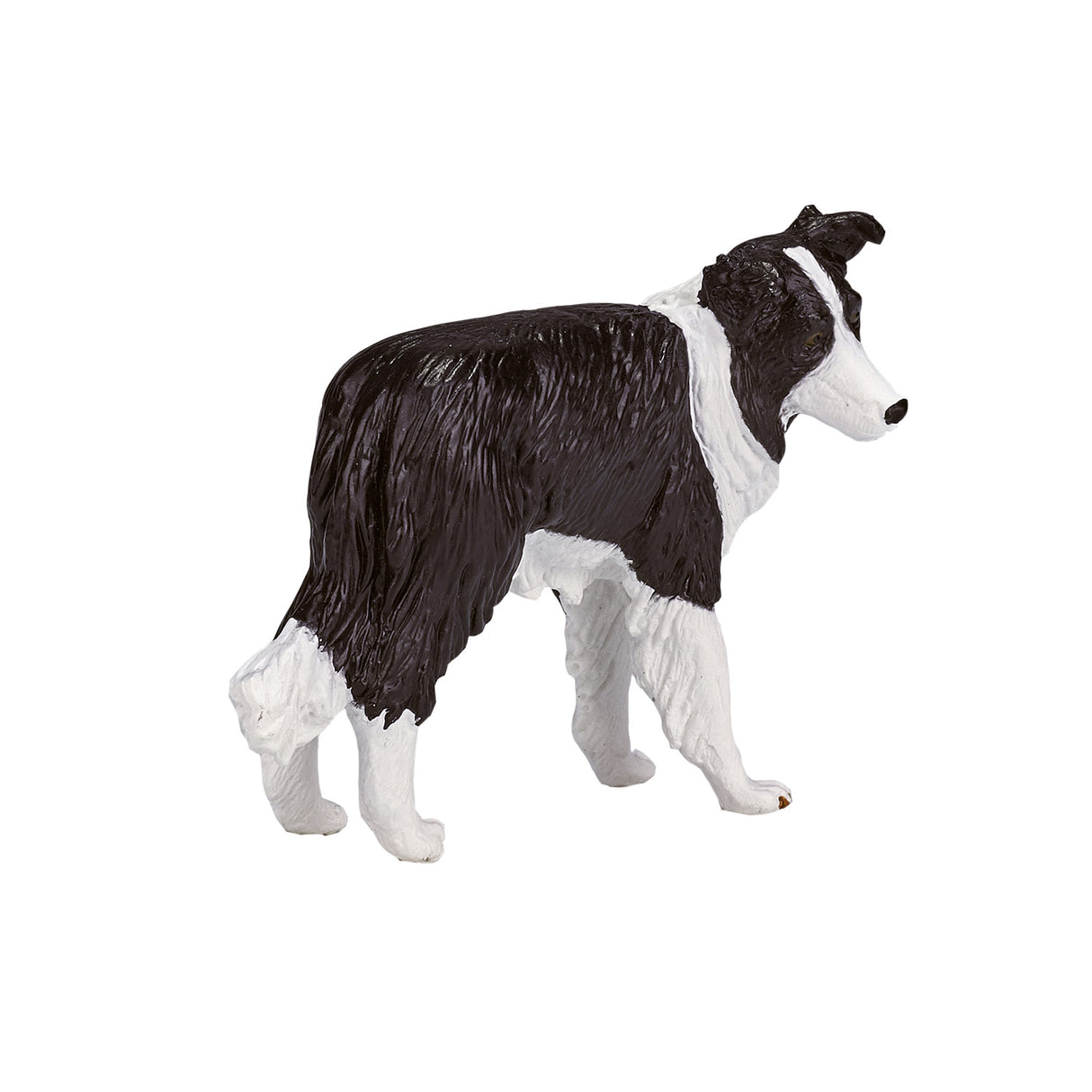 Border Collie des terres agricoles Mojo - 387203