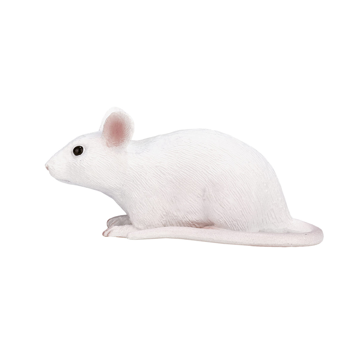Souris des terres agricoles Mojo - 387235