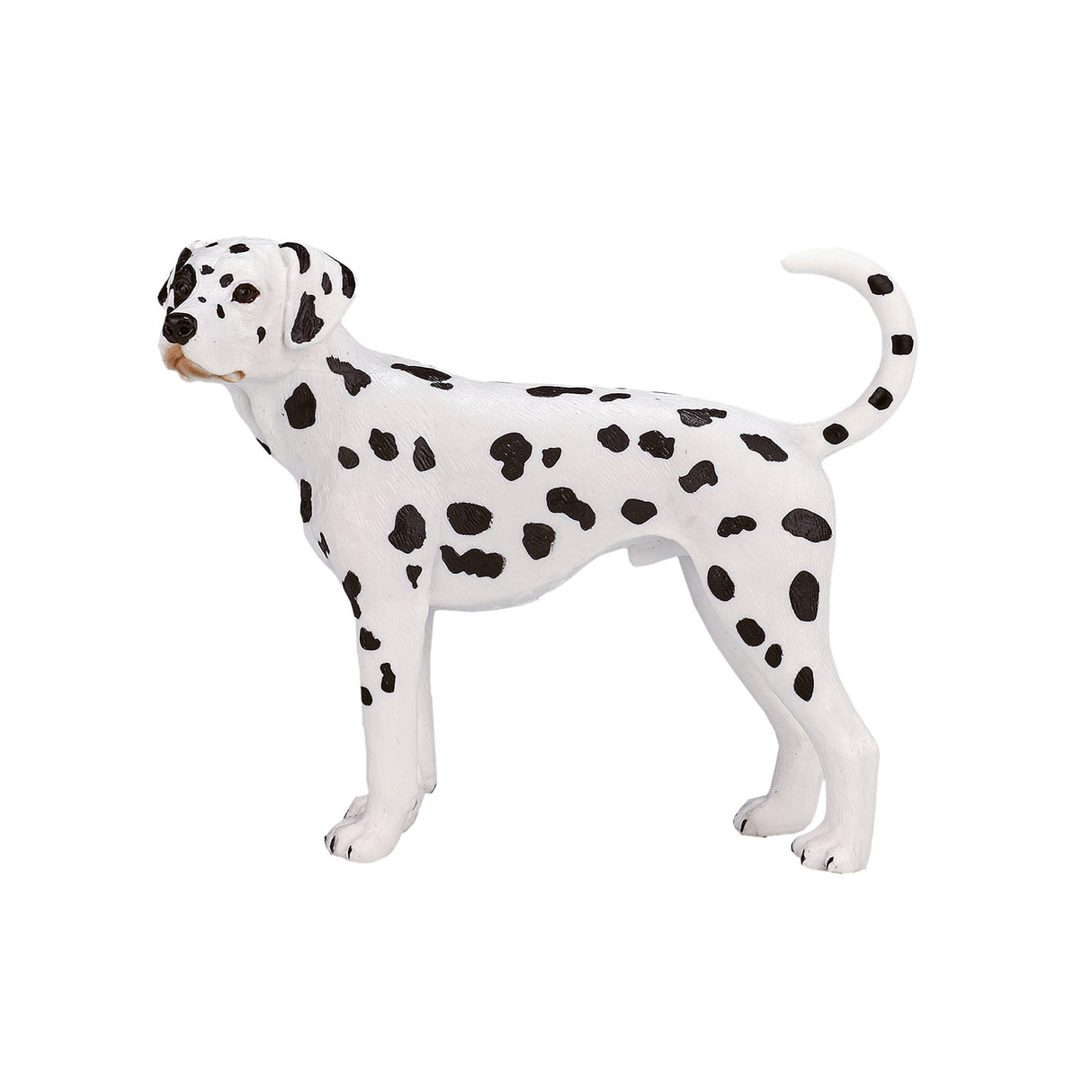 Dalmatien des terres agricoles Mojo - 387248
