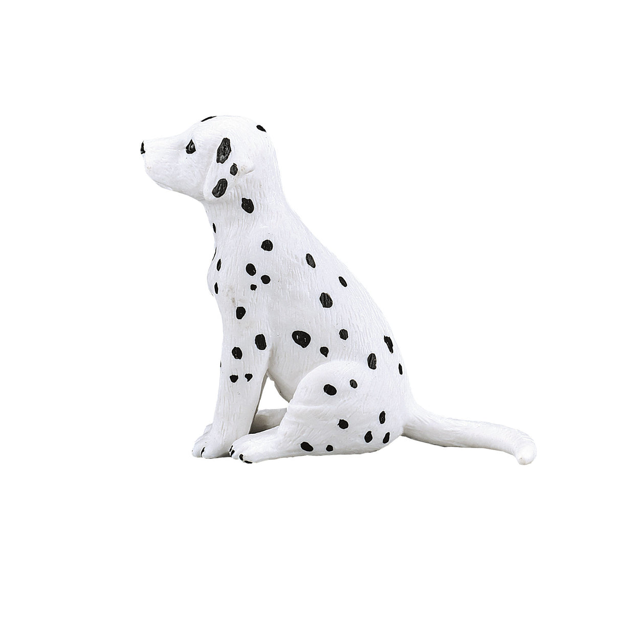Chiot dalmatien des terres agricoles Mojo - 387249