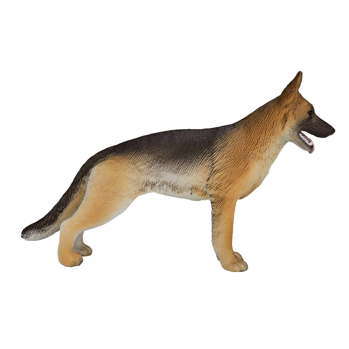 Berger allemand des terres agricoles Mojo - 387260