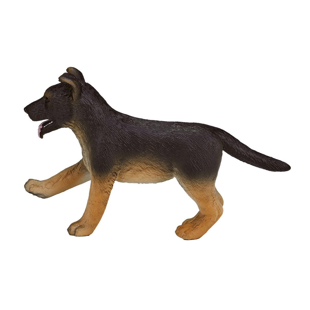 Chiot berger allemand des terres agricoles Mojo - 387261