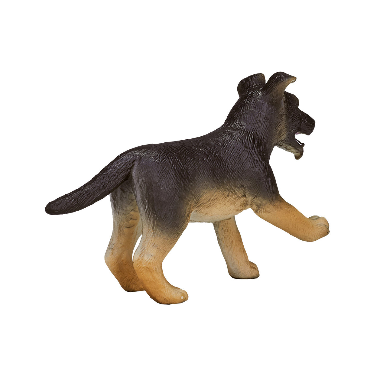 Chiot berger allemand des terres agricoles Mojo - 387261