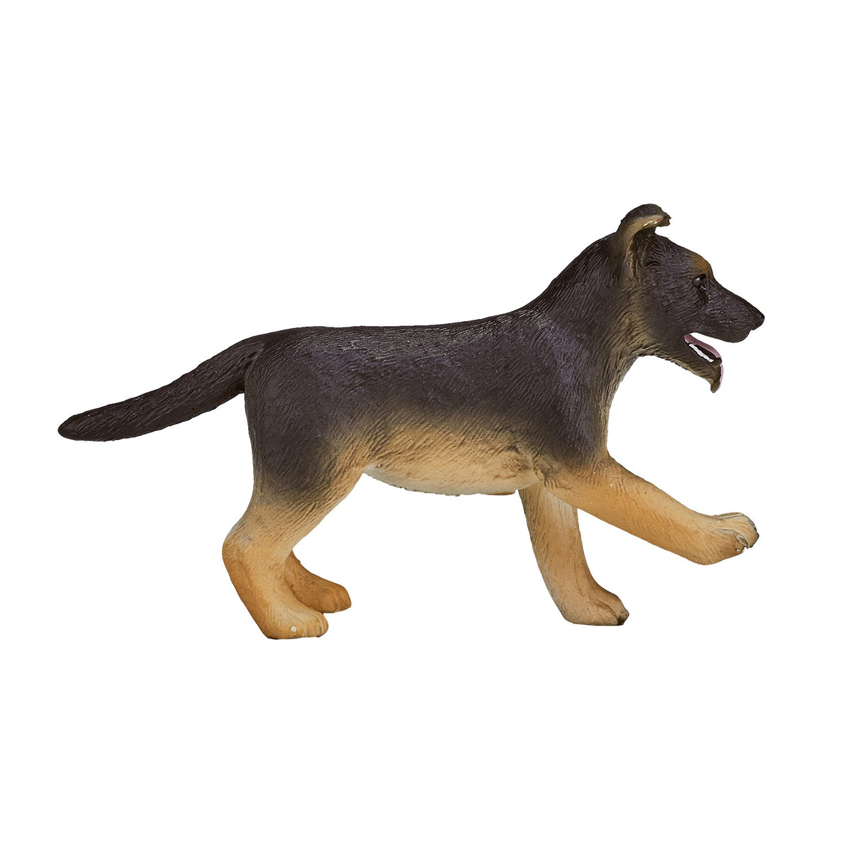 Chiot berger allemand des terres agricoles Mojo - 387261