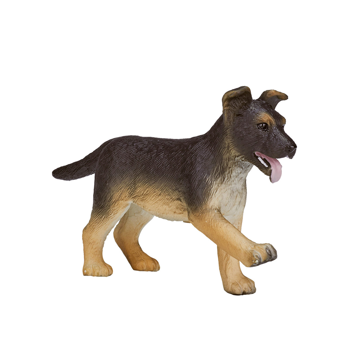 Chiot berger allemand des terres agricoles Mojo - 387261