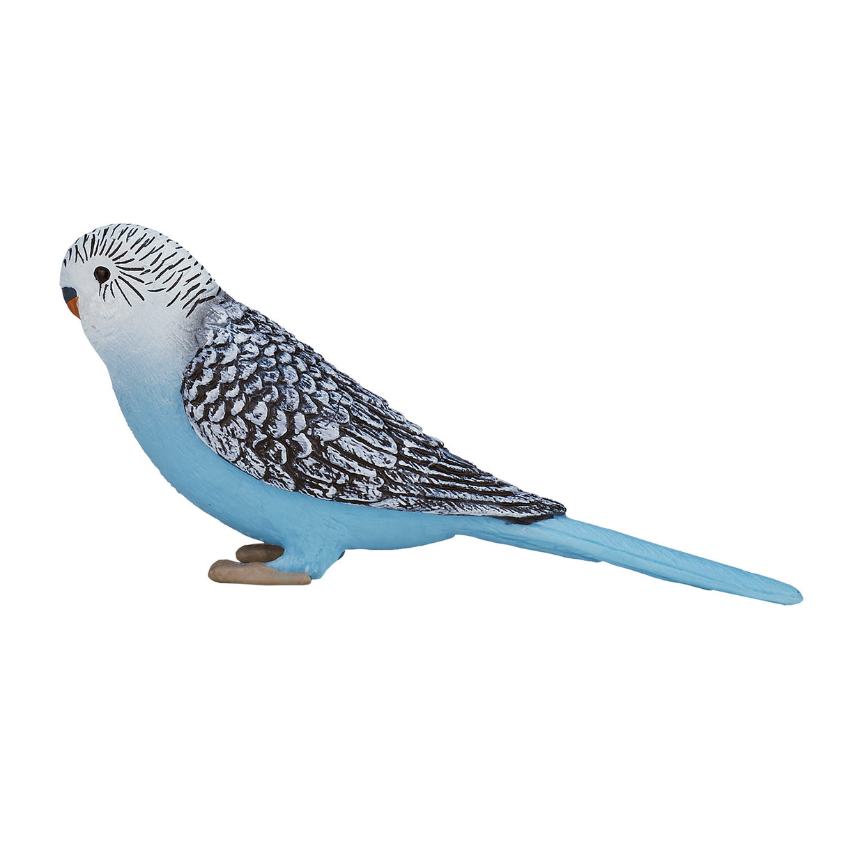 Perruche des terres agricoles Mojo bleu - 387292