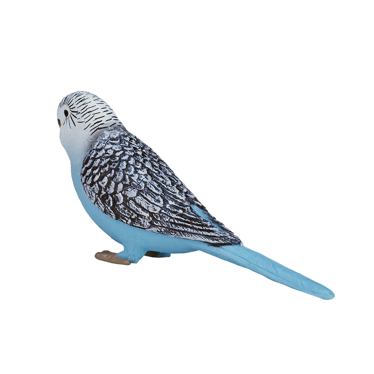 Perruche des terres agricoles Mojo bleu - 387292