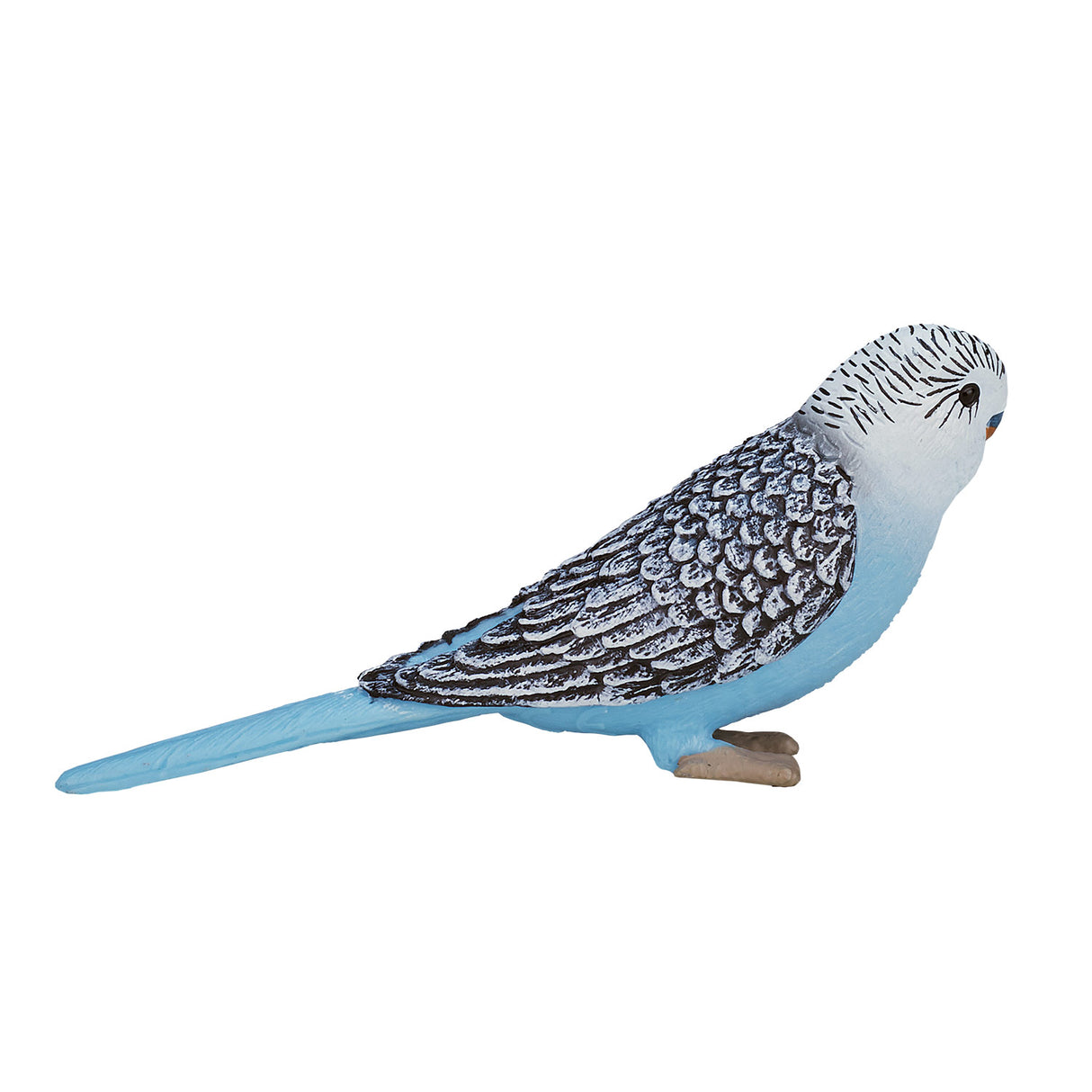 Perruche des terres agricoles Mojo bleu - 387292