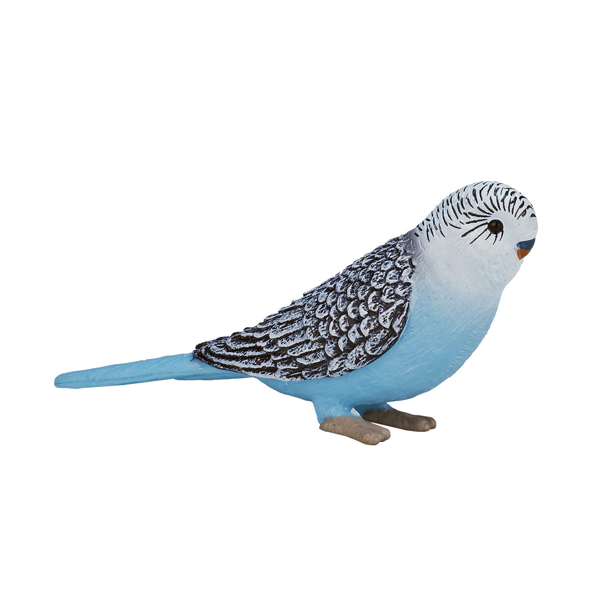 Perruche des terres agricoles Mojo bleu - 387292