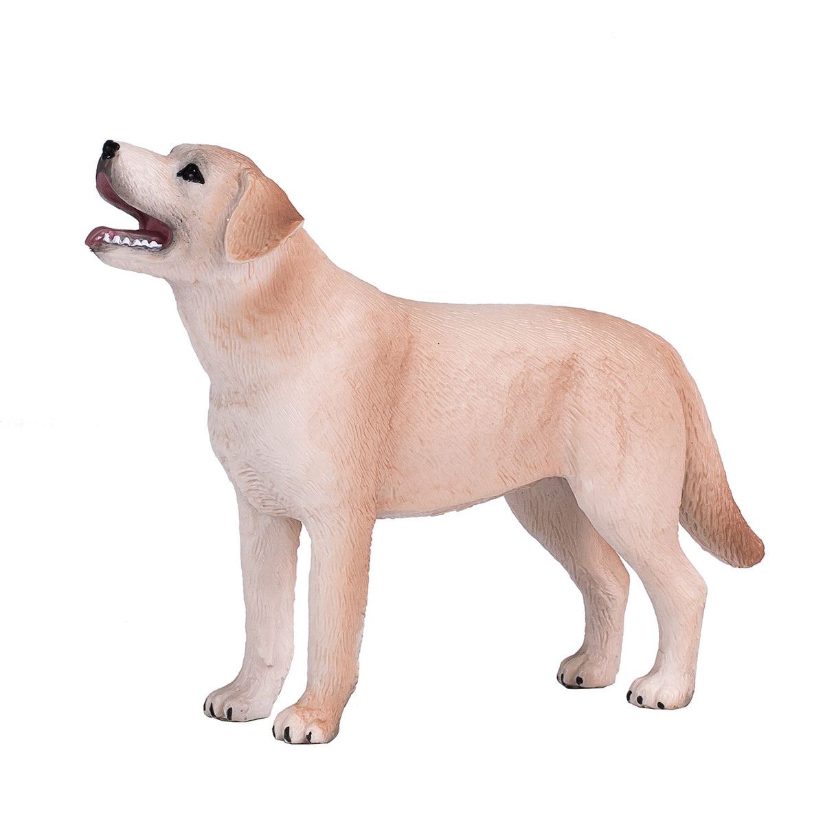 Terres agricoles Mojo labrador - 387271