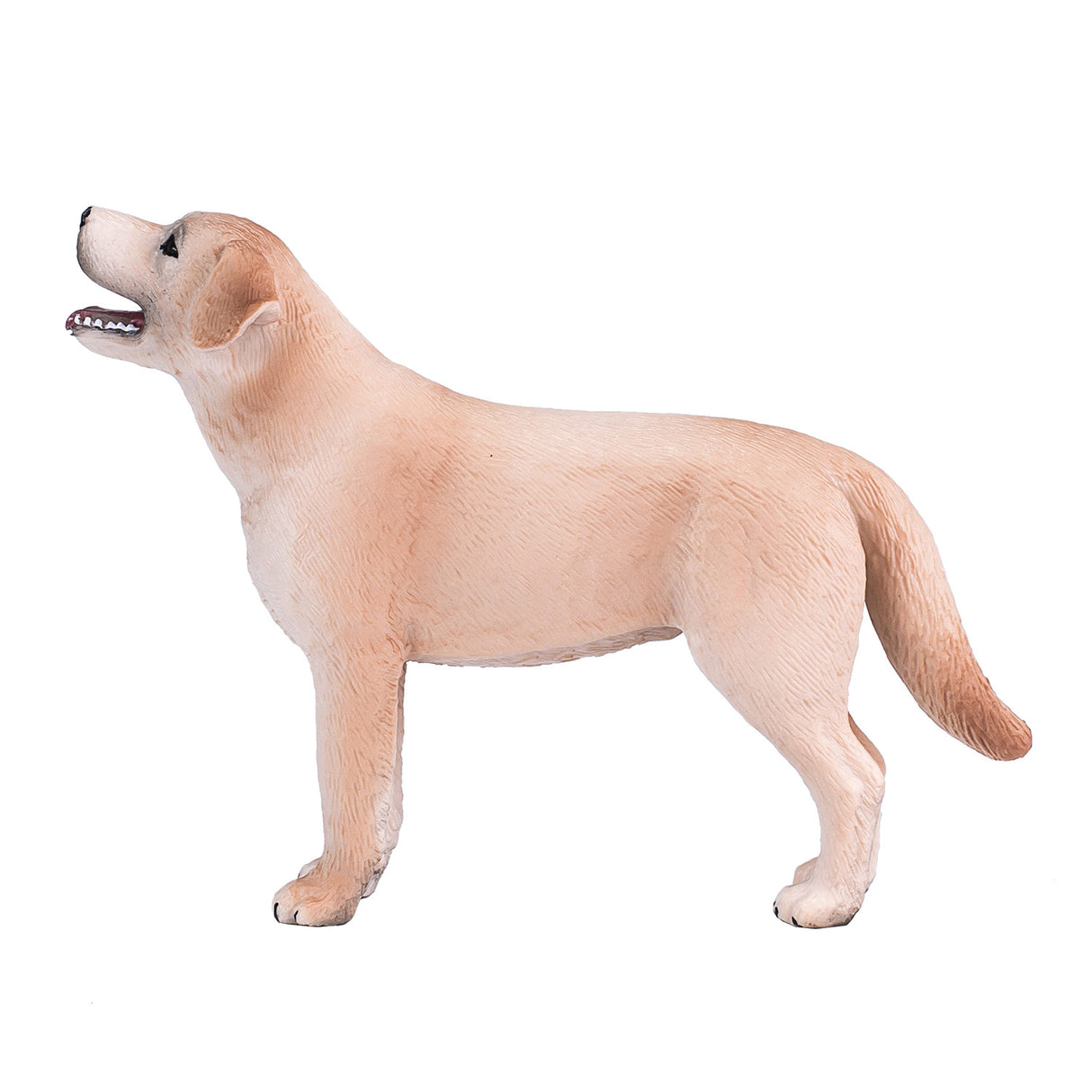 Terres agricoles Mojo labrador - 387271