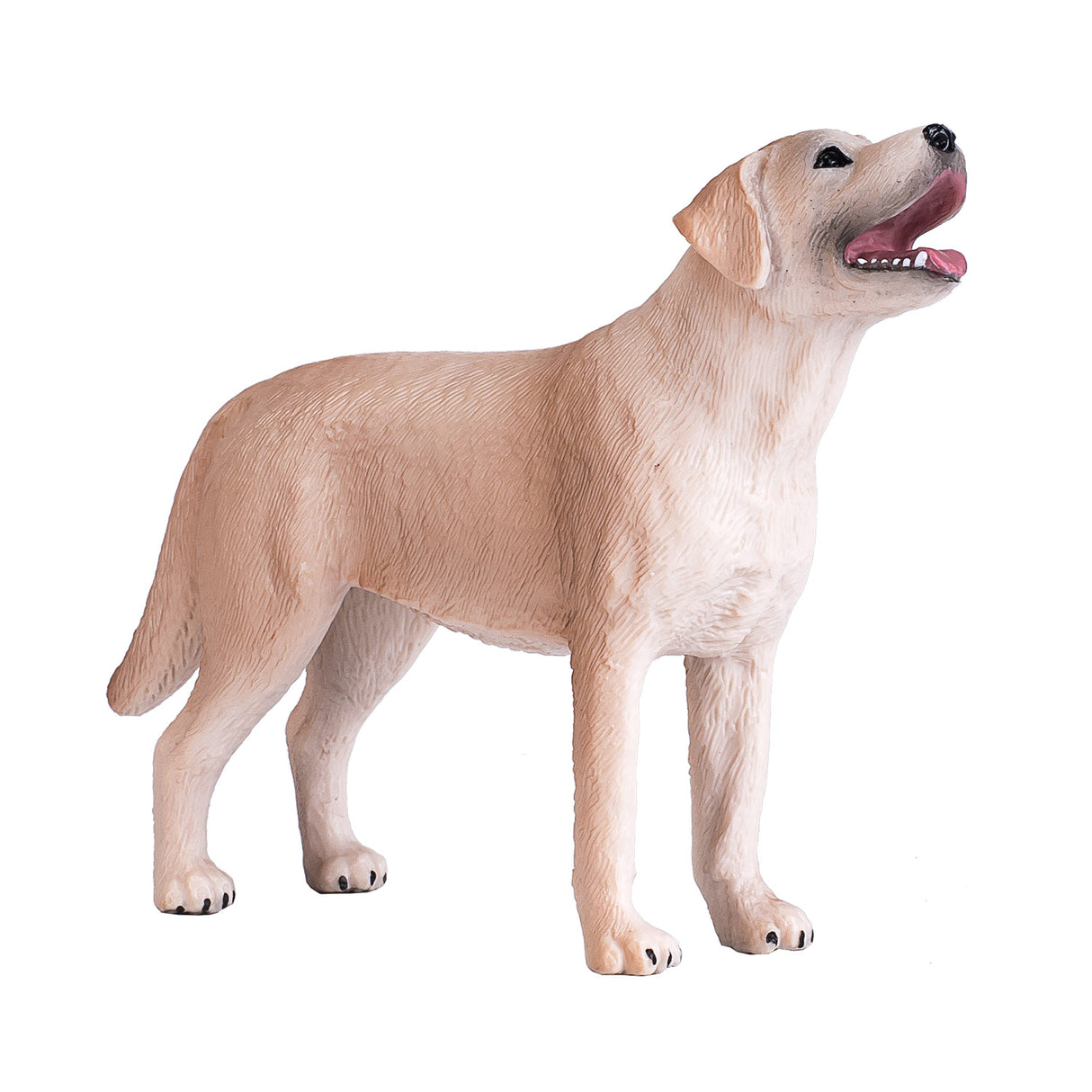 Terres agricoles Mojo labrador - 387271