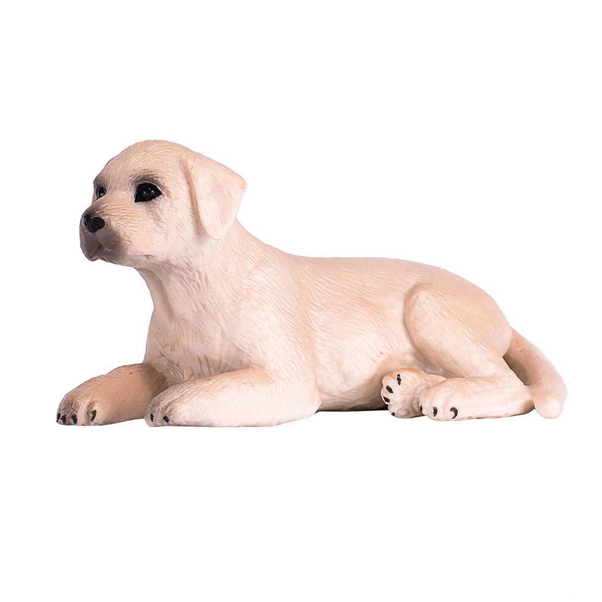 Chiot labrador des terres agricoles Mojo - 387272