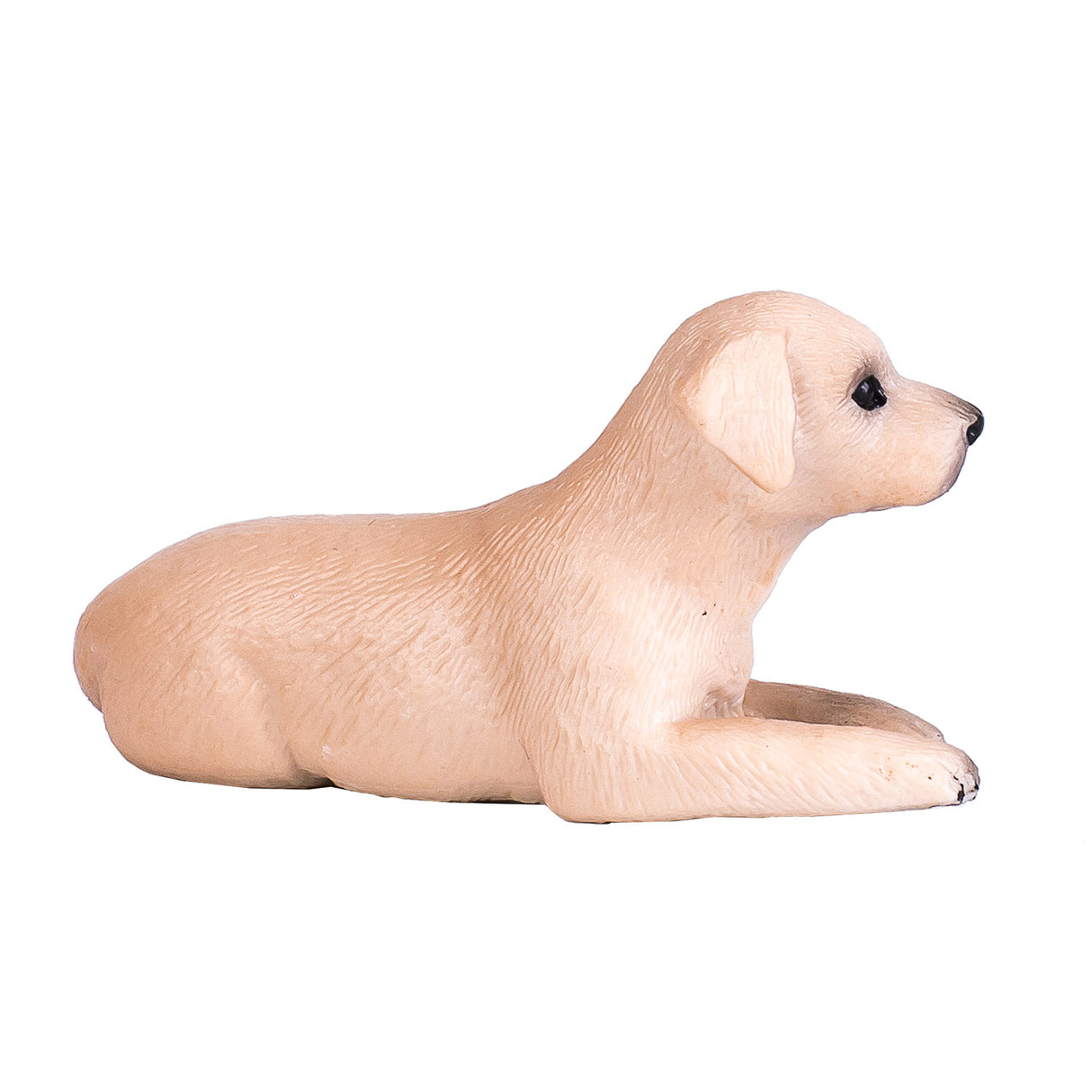 Chiot labrador des terres agricoles Mojo - 387272