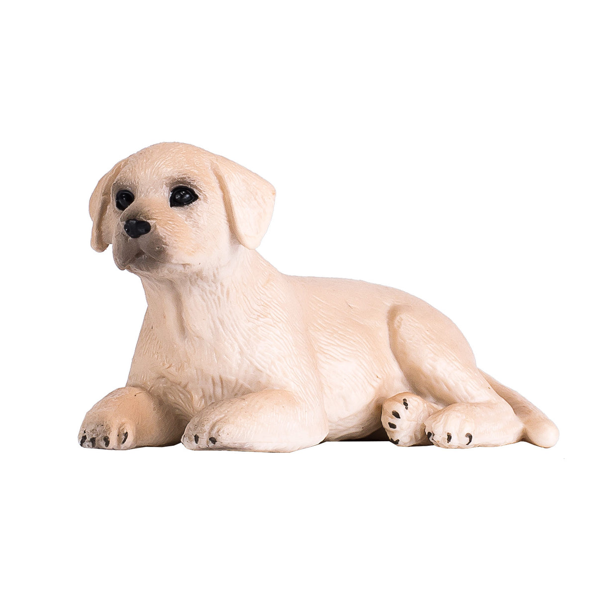 Chiot labrador des terres agricoles Mojo - 387272
