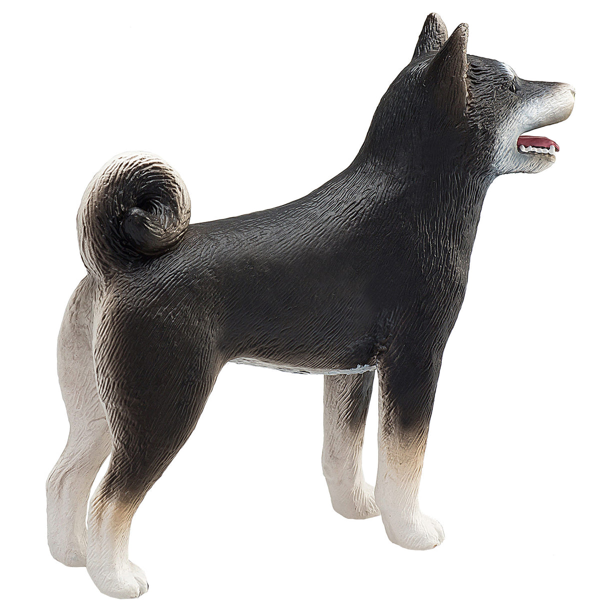 Mojo terres agricoles shiba inu noir - 387363