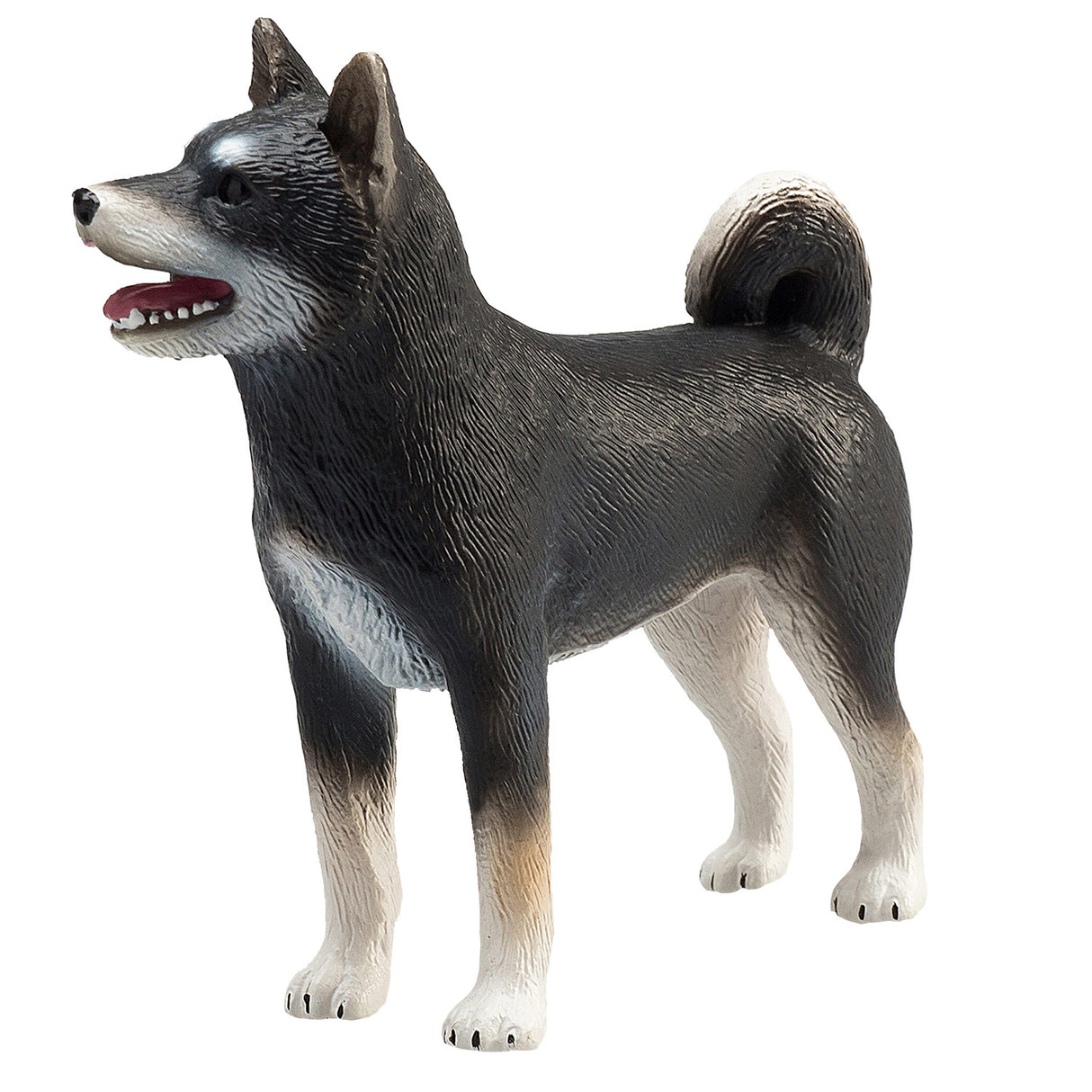 Mojo terres agricoles shiba inu noir - 387363